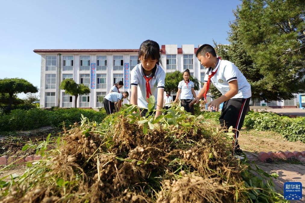 99电玩游戏下载
